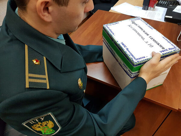 Ярославская таможня напоминает: нормы беспошлинного ввоза международных посылок изменились Ярославская таможня напоминает: нормы беспошлинного ввоза международных посылок изменились