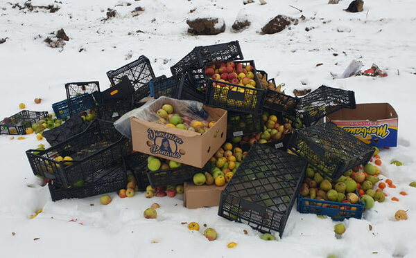 Ярославские таможенники выявили более 300 килограмм санкционной продукции Ярославские таможенники выявили более 300 килограмм санкционной продукции