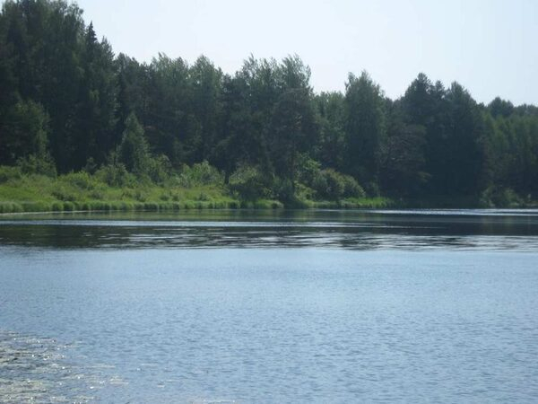 Утверждены границы памятников природы «Озеро Ширей» и «Озеро Бездонное» Утверждены границы памятников природы «Озеро Ширей» и «Озеро Бездонное»