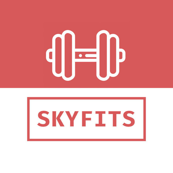 SkyFits -     