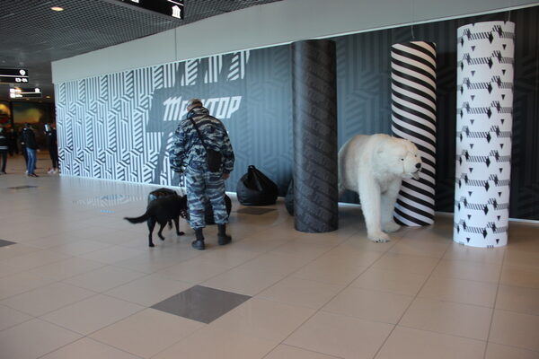 В Челябинске бойцы ОМОН приняли участие в охране порядка при проведении хоккейного матча В Челябинске бойцы ОМОН приняли участие в охране порядка при проведении хоккейного матча