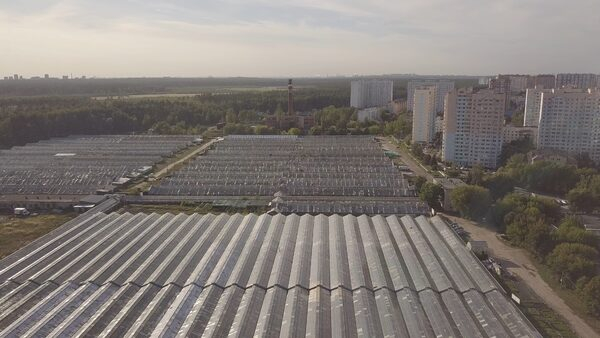 Арендаторы об удобном месторасположении агрофирмы «Подмосковное» Арендаторы об удобном месторасположении агрофирмы «Подмосковное»