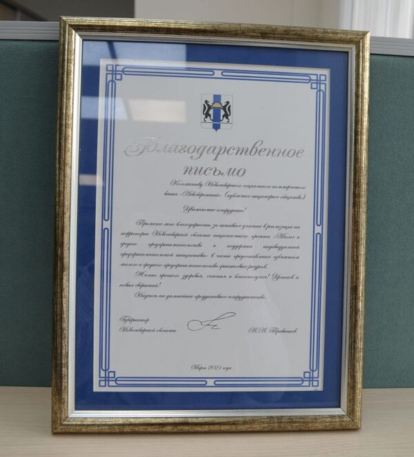 Банк «Левобережный» признан лучшим партнером Гарантийного фонда НСО в 2020 году Банк «Левобережный» признан лучшим партнером Гарантийного фонда НСО в 2020 году