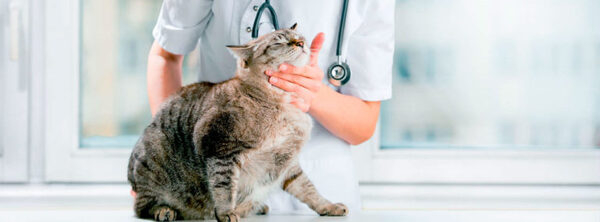 Обновлен перечень лабораторных исследований Обновлен перечень лабораторных исследований