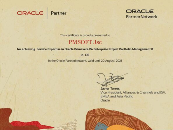         Oracle Primavera P6 Project Portfolio Management 8