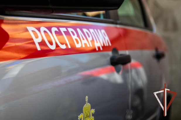 На Среднем Урале Росгвардейцы задержали рецидивиста, проникшего в чужую квартиру с целью хищения На Среднем Урале Росгвардейцы задержали рецидивиста, проникшего в чужую квартиру с целью хищения