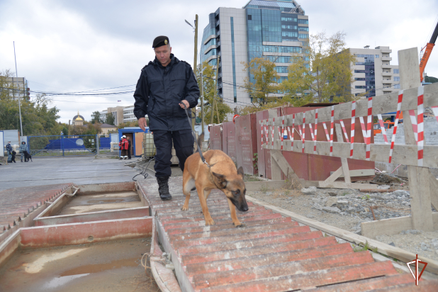 Кинологи Росгвардии провели совместные занятия с коллегами из полиции в рамках подготовки к обеспечению безопасности Универсиады - 2023 Кинологи Росгвардии провели совместные занятия с коллегами из полиции в рамках подготовки к обеспечению безопасности Универсиады - 2023