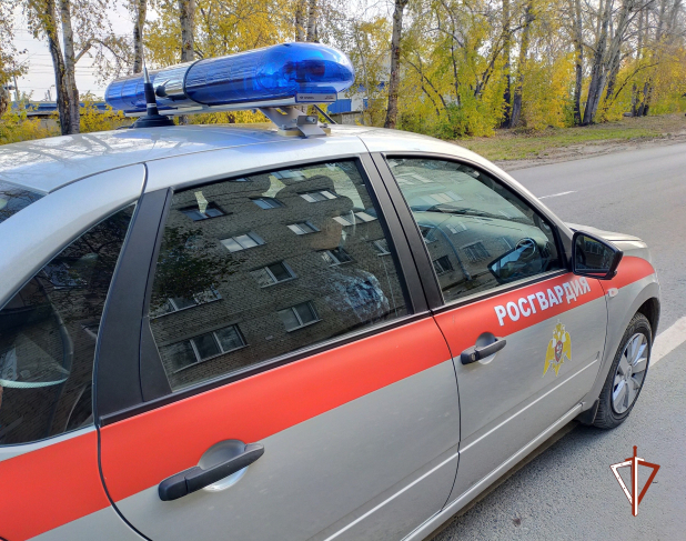 В Тюмени росгвардейцы задержали подозреваемых в совершении краж В Тюмени росгвардейцы задержали подозреваемых в совершении краж