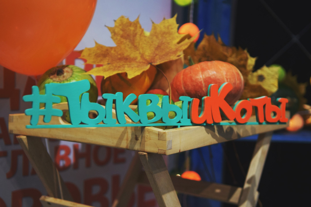 «Тыквы и Коты»: осенний праздник для всей семьи возвращается! «Тыквы и Коты»: осенний праздник для всей семьи возвращается!