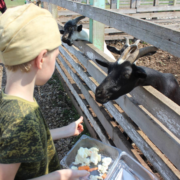 Россельхозбанк поможет фермерам Башкирии развивать агротуризм Россельхозбанк поможет фермерам Башкирии развивать агротуризм
