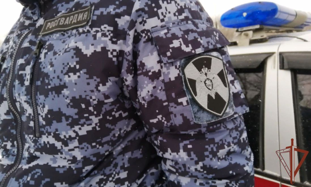 Росгвардия обеспечивает безопасность юниорского первенства России по дзюдо Росгвардия обеспечивает безопасность юниорского первенства России по дзюдо