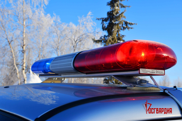 Нарядами Росгвардии на Среднем Урале задержаны граждане по подозрению в сбыте поддельных денег и грабеже Нарядами Росгвардии на Среднем Урале задержаны граждане по подозрению в сбыте поддельных денег и грабеже